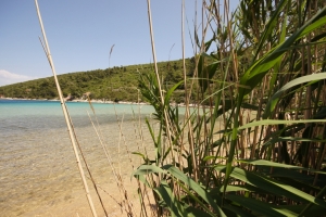 Sandy Beach in Stoncica Bay