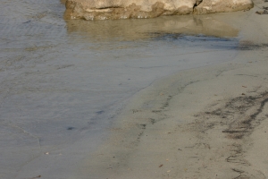 on the beach in Savudria